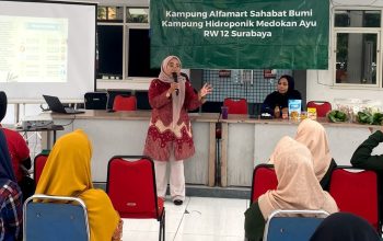 Img 20250528 Wa00362 1