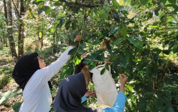 Img 202505142 133656537 1