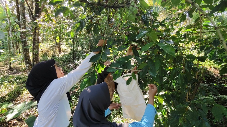 Img 202505142 133656537 1