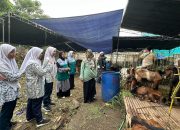 Manfaatkan Momentum Jelang Idul Adha, Siswa Smp Al Muslim Maknai Kelulusan Dengan Berbagi Pada Sesama