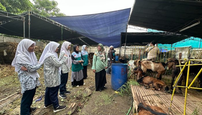 Manfaatkan Momentum Jelang Idul Adha, Siswa Smp Al Muslim Maknai Kelulusan Dengan Berbagi Pada Sesama