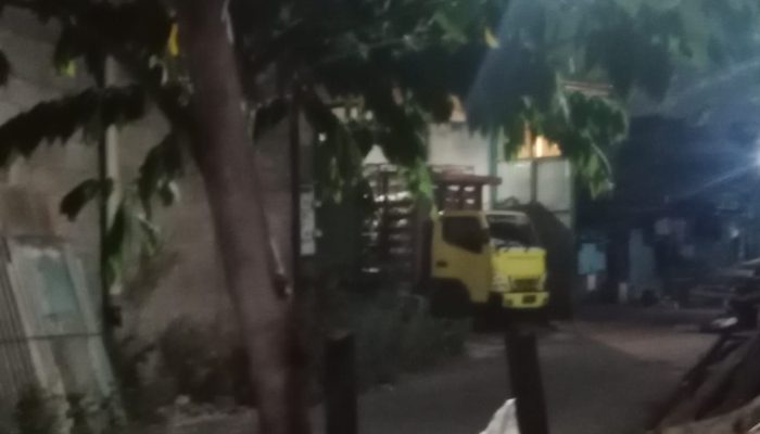 Rahasia Gelap Di Perbatasan Sidoarjo, Pemotongan Ayam Cv. Akbar Broiler Jaya Dikeluhkan 