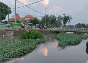 Kondisi Sungai Pelayaran Masih Kotor, Warga Berharap Penanganan Serius