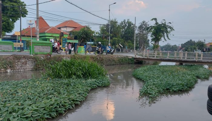 Kondisi Sungai Pelayaran Masih Kotor, Warga Berharap Penanganan Serius