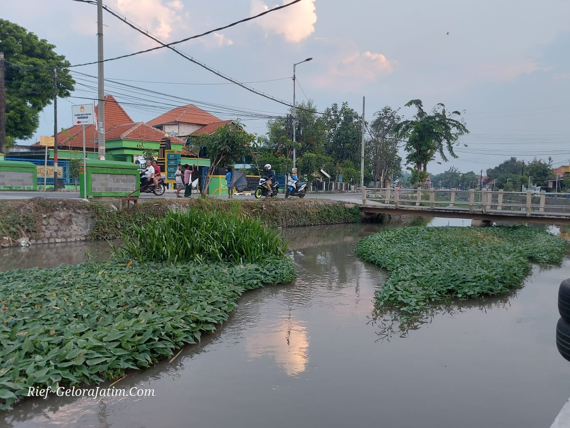 Img 20250718 Wa0041 1