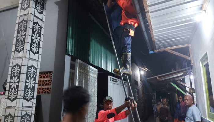 Terkena Sengatan Tawon Vespa, Remaja Kalijaten Harus Jalani Rawat Inap Di Rumah Sakit