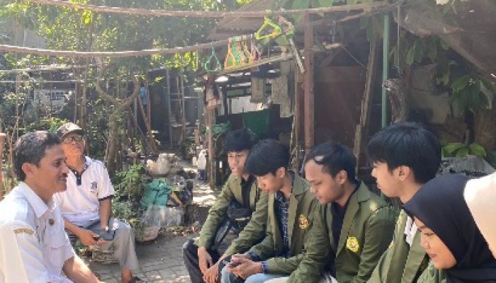 Survey Awal Kkn Hidroponik Kelompok 39: Membangun Kembali Semangat Bertani Di Kelurahan Bulak