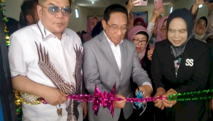 Rumah Sakit Ibu Dan Anak Buah Delima Sidoarjo Diresmikan Wamenkes, Dorong Jadi Peserta Bpjs Dan Tipe D