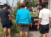 Img 20260201 Wa0081