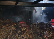 Kebakaran Mesin Oven Di Pt Ubm Waru, Tiga Unit Damkar Dikerahkan Api Padam Dalam 1,5 Jam