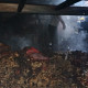 Img 20260217 Wa0077