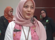 Kasus Dbd Di Sidoarjo Menurun Tajam, Dinkes Ingatkan Warga Tetap Terapkan Psn 3M Plus