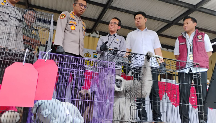 Polresta Sidoarjo Ungkap Sindikat Perdagangan Satwa Dilindungi, Jaringan Tembus Asia Hingga Eropa