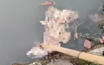 Potongan Kaki Manusia Ditemukan Di Sungai Wonoayu, Polisi Pastikan Korban Laka Kereta Api Krian