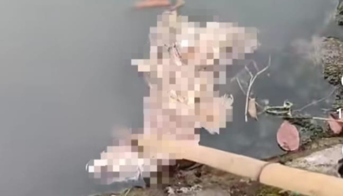Potongan Kaki Manusia Ditemukan Di Sungai Wonoayu, Polisi Pastikan Korban Laka Kereta Api Krian