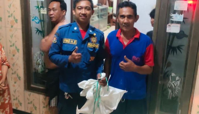 Masuk Rumah Warga, Ular Berhasil Diamankan Tim Rescue Bpbd Sidoarjo