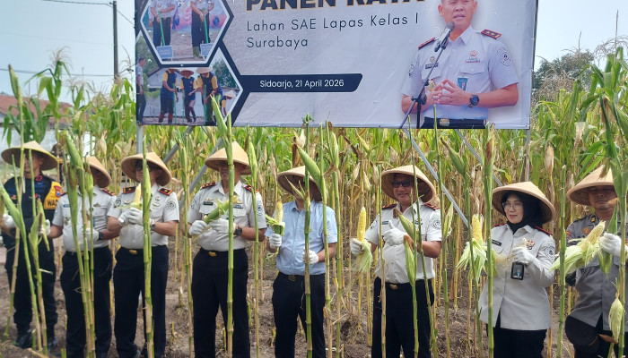 Apresiasi Dpr Ri, Lapas Porong Sukses Ubah Lahan Tidur Jadi Ladang Produktif