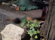 Rx King Hantam Pohon Di Kletek Taman, Satu Tewas Dilokasi