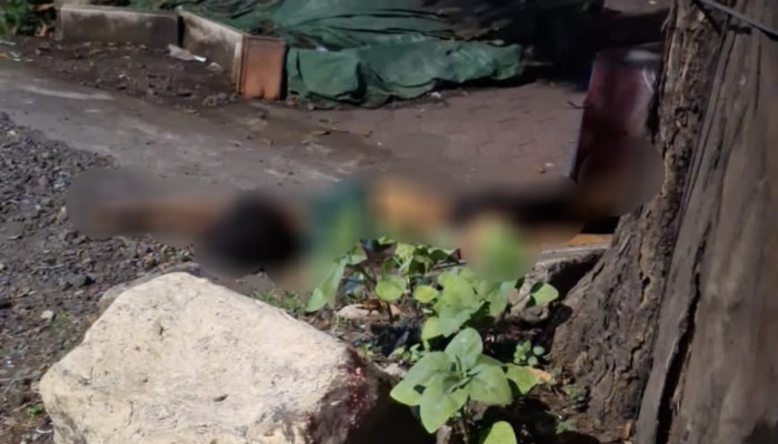 Rx King Hantam Pohon Di Kletek Taman, Satu Tewas Dilokasi