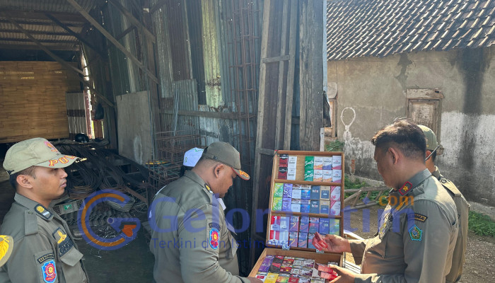 Satpol Pp Dan Bea Cukai Sidoarjo Gempur Rokok Ilegal, Ratusan Bungkus Diamankan