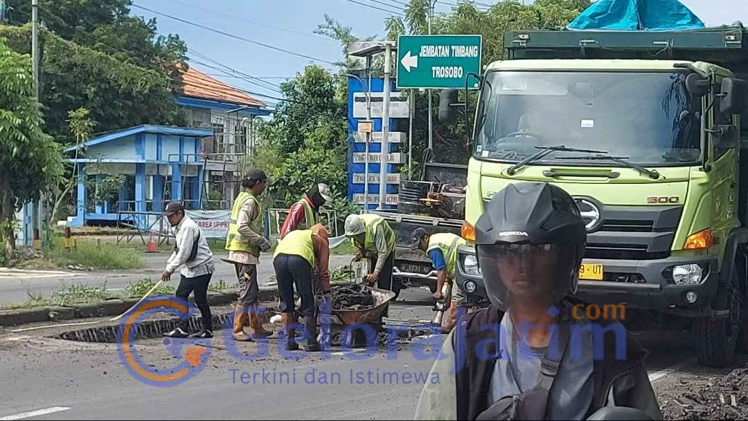 Screenshot 20260429 163318 Gallery