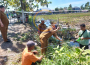 Pemdes Bringinbendo Taman Sulap Tkd Blok Kepuh Jadi Ikon Baru Desa