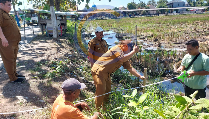 Pemdes Bringinbendo Taman Sulap Tkd Blok Kepuh Jadi Ikon Baru Desa