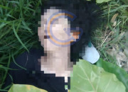 Polisi Selidiki Penemuan Jenazah Wanita Di Dekat Rel Kereta Gedangan