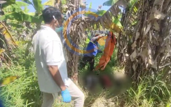 Mayat Pria Misterius Ditemukan Membusuk Di Sawah Prambon, Polisi Selidiki Identitas Korban