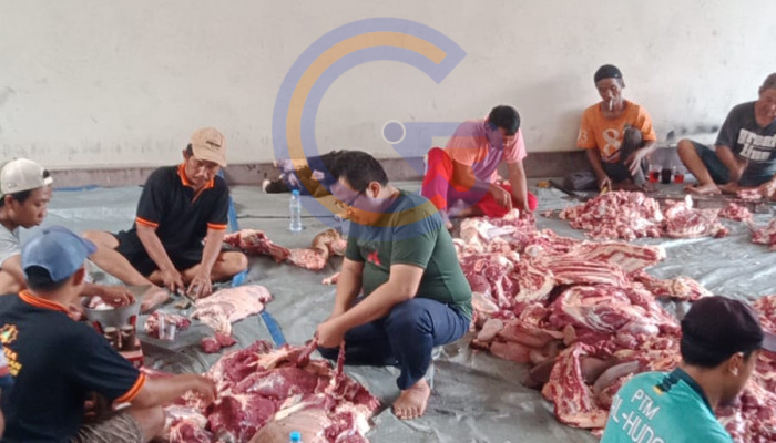 Meski Belum Terpilih, Bagus Ardiyansyah Tetap Berkurban Satu Ekor Sapi Dan Dua Ekor Kambing Untuk Masyarakat Di Hari Idul Adha