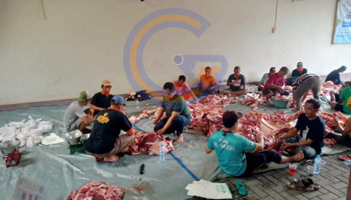 Meski Belum Terpilih, Bagus Ardiyansyah Tetap Berkurban Satu Ekor Sapi Dan Dua Ekor Kambing Untuk Masyarakat Di Hari Idul Adha