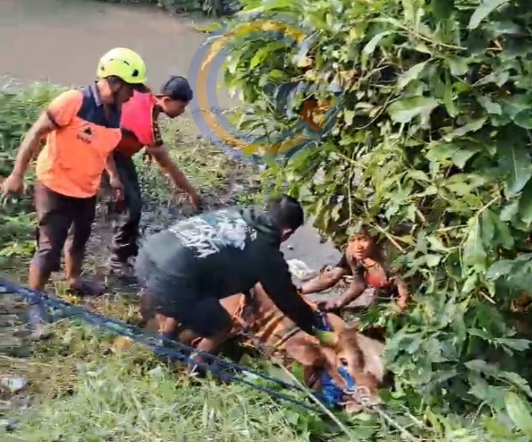 Img 20260527 Wa0129