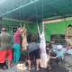 Koramil 0816/14 Taman Sembelih 6 Kambing Qurban, Wujud Nyata Kepedulian Tni Kepada Masyarakat