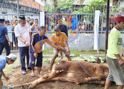 Lapas Kelas I Surabaya Gelar Penyembelihan Hewan Qurban Dan Bagikan Ke Panti Asuhan
