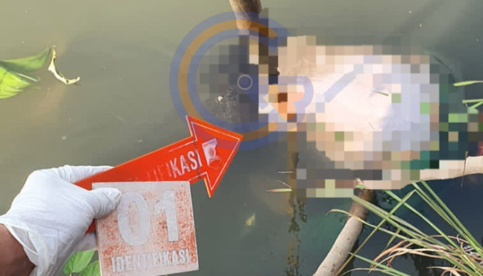 Pria Lansia Ditemukan Hanyut Di Sungai Ponokawan, Polisi Pastikan Tak Ada Tanda Kekerasan