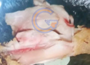 Temuan Ayam Kurang Matang Di Mbg Tarik Jadi Evaluasi, Sppg Sekargalih Perketat Proses Produksi