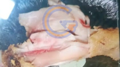 Img 20260724 Wa0127 1
