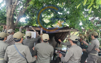 Satpol PP Sidoarjo Ratakan Sisa Warung Remang dan Bilik Prostitusi di Kampung Krengseng Krian 3 Img 20260803 Wa0079