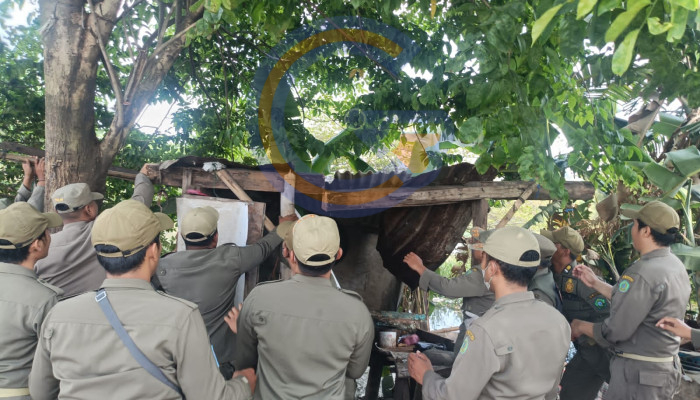 Satpol Pp Sidoarjo Ratakan Sisa Warung Remang Dan Bilik Prostitusi Di Kampung Krengseng Krian