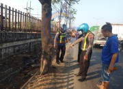 Laka Tunggal Di Jalan Raya Gilang, Pengendara Nmax Alami Patah Tulang