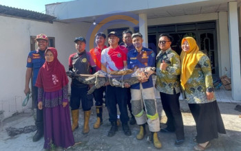Warga Sukodono Serahkan Buaya Muara Peliharaan Untuk Dievakuasi Petugas