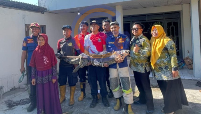 Warga Sukodono Serahkan Buaya Muara Peliharaan Untuk Dievakuasi Petugas