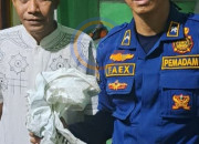 Resahkan Warga, Dua Sarang Tawon Vespa dan Biawak Dievakuasi Tim Rescue Damkar Sidoarjo 9 20260922 075939
