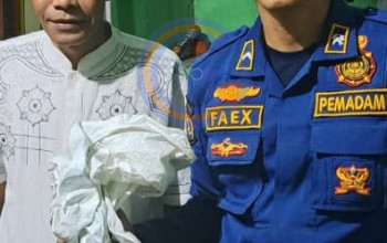 Resahkan Warga, Dua Sarang Tawon Vespa dan Biawak Dievakuasi Tim Rescue Damkar Sidoarjo 3 20260922 075939