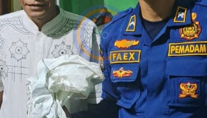 Resahkan Warga, Dua Sarang Tawon Vespa Dan Biawak Dievakuasi Tim Rescue Damkar Sidoarjo