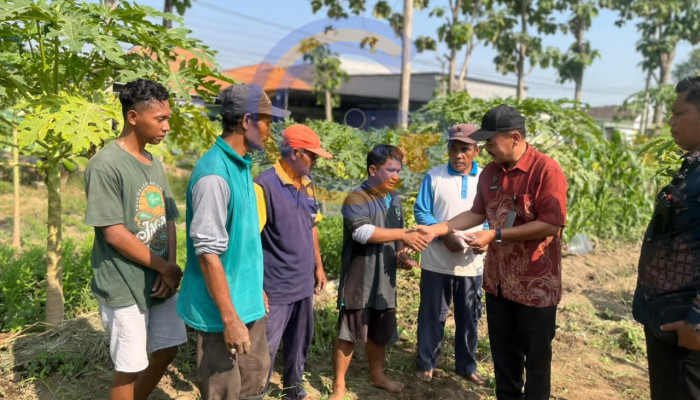 Panen 73 Kg Kangkung, Lapas Surabaya Beri Premi Dan Bekali Warga Binaan Keterampilan