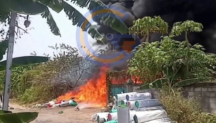 Api Lahap Tempat Usaha Alas Sangkar Lovebird Di Sambibulu Taman, Kerugian Mencapai Rp 100 Juta