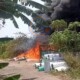 Api Lahap Tempat Usaha Alas Sangkar Lovebird Di Sambibulu Taman, Kerugian Mencapai Rp 100 Juta